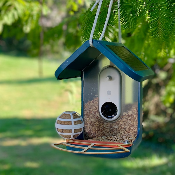 A Bird Buddy must - International Shipping! The Bird Buddy Perch in colours birds can see - Acrylic or Sustainable Wood - Ships Worldwide