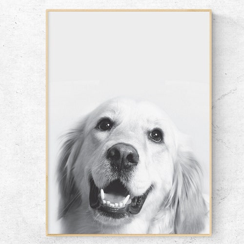 Intalence Art Golden Retriever Dog Wall Art Decor Modern Etsy
