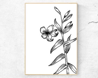 Lily Print, Black and White Water Lily Digital Download Print, Minimalist Wall Art, Flower Printable Poster, Botanical Flower Print