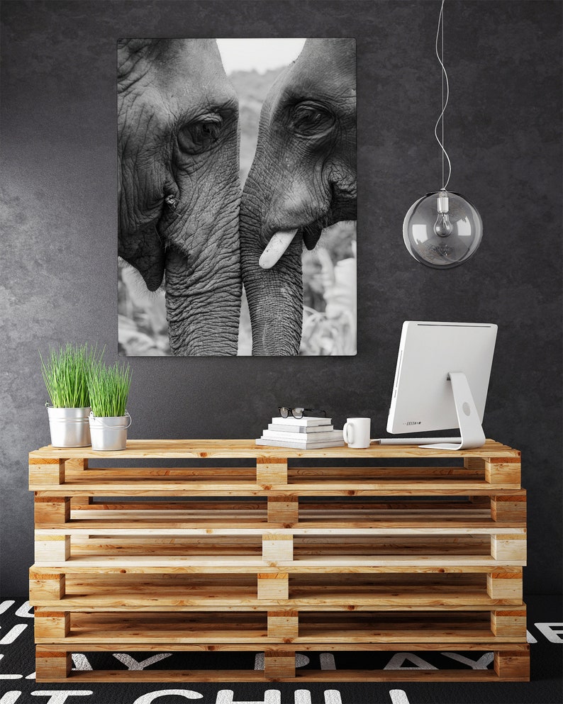 Elephant Print Black and White Printable Wall Art Digital Etsy Canada
