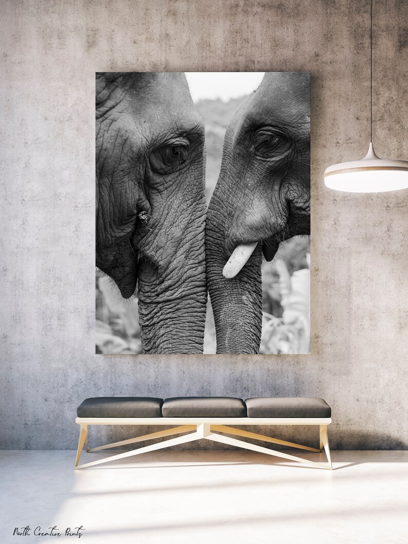 Elephant Print Black and White Printable Wall Art Digital Etsy Canada