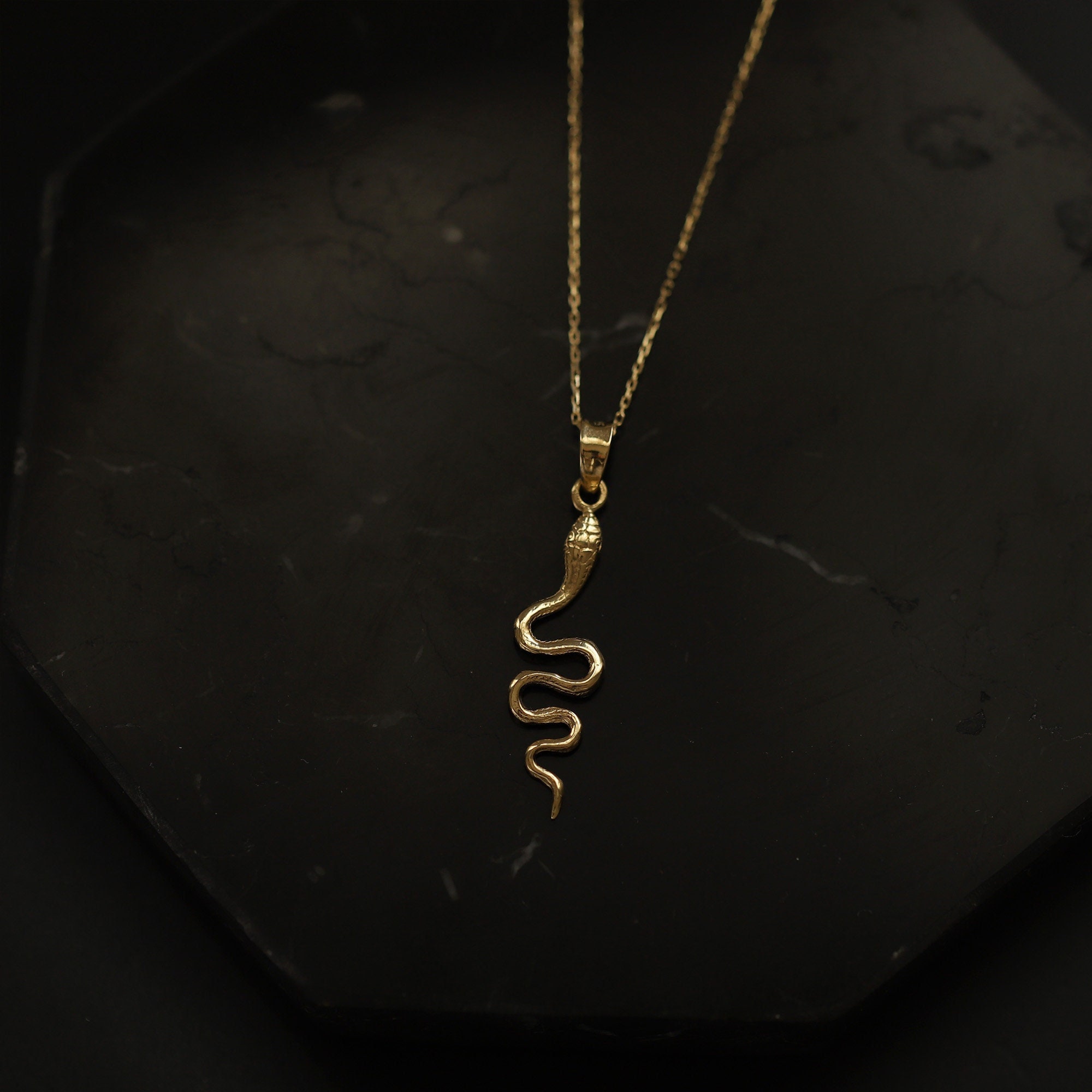☆送料・関税込☆HEI★thin snake necklace★ネックレス★ Thin Serpent Pendant, Snake Necklace, 14K Gold, Symbolic