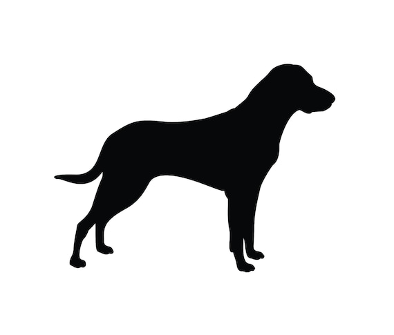 Download Labrador Retriever Dog Vector Graphic Svg Silhouette Etsy