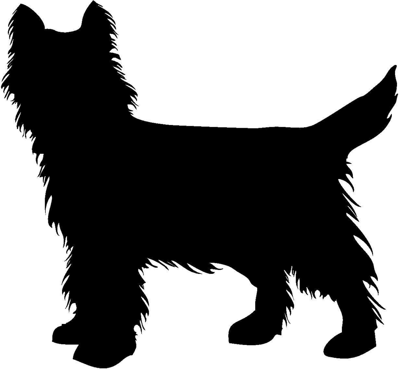 Cairn Terrier Dog Vector Graphic SVG Silhouette | Etsy
