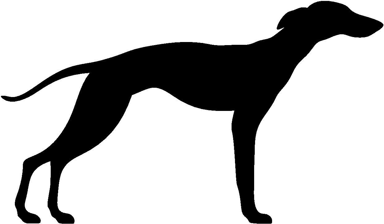 Whippet Dog Vector Graphic SVG Silhouette | Etsy