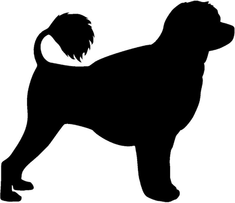 Download Portuguese Water Dog Vector Graphic SVG Silhouette | Etsy