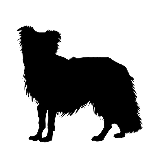 Download Border Collie Vector Graphic Svg Silhouette Etsy