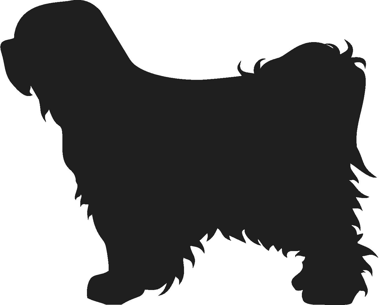 Download Tibetan Terrier Dog Vector Graphic Svg Silhouette Etsy