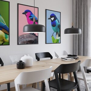 Birds Print Set of 4, Colorful Bird Wildlife Wall Set, DIGITAL DOWNLOAD, Contrast Animal Posters, Animal Printable Art, Birds Wall Decor