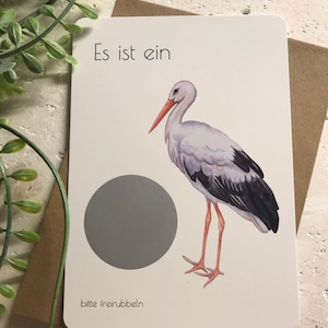 Rubbelkarte Storch Geschlechterverkündung Geschlecht Babyshower Geburt