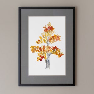 Op de afbeelding: Gelijst aquarel schilderij van een boom met oranje, gele en rode bladeren. De boom is geschilderd op een witte achtergrond en is ingelijst in een zwart frame met een grijze passe-partout.
