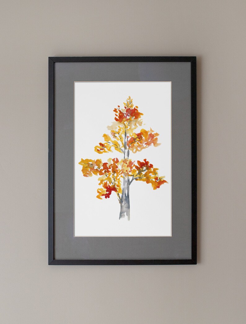 Op de afbeelding: Gelijst aquarel schilderij van een boom met oranje, gele en rode bladeren. De boom is geschilderd op een witte achtergrond en is ingelijst in een zwart frame met een grijze passe-partout.