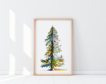 Pin Oak Wisdom | Textured Watercolor Paper Fine Art Print Posters | Botanical Tree | Autumn Wall Decor | Green Brown Blue Yellow White