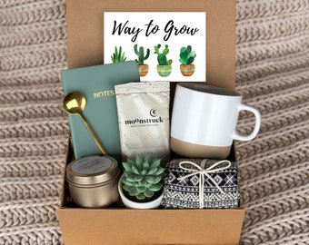 New Job Gift, Congrats Gift, Way to Grow, Job Promotion Gift, Co-worker Gift box, Live Succulent Gift, Congrats, Succulent Gift Box