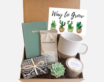 New Job Gift, Congrats Gift, Way to Grow, Job Promotion Gift, Co-worker Gift box, Live Succulent Gift, Congrats, Succulents