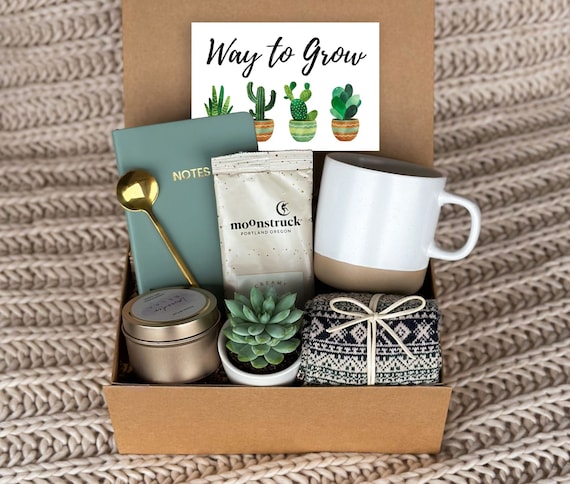 New Job Gift, Congrats Gift, Way to Grow, Job Promotion Gift, Co-worker Gift box, Live Succulent Gift, Congrats, Succulent Gift Box