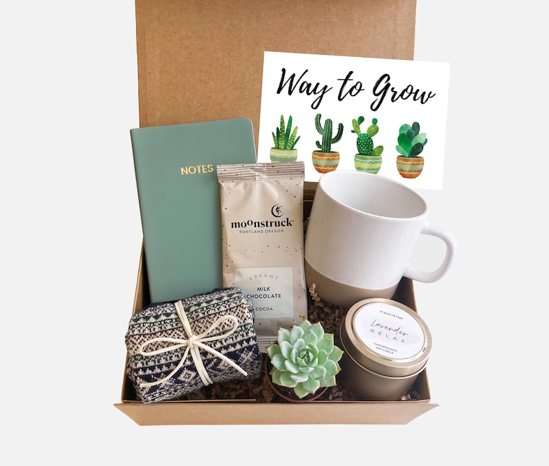 New Job Gift, Congrats Gift, Way to Grow, Job Promotion Gift, Co-worker Gift box, Live Succulent Gift, Congrats, Succulents image 1