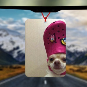 May include: A white chihuahua wearing a pink clog on its head. The clog has a pink and white cartoon character on it. The dog is looking at the camera. The background is a blurry image of a road and mountains.