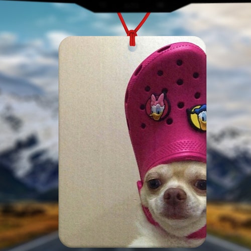 Croc Dog Meme Car Air Freshener Funny Car Air Freshener Etsy