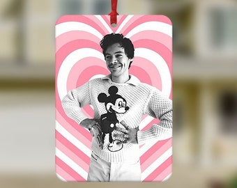 Harry Car Air Freshener, Fun Car Air Freshener, Harry's House gift, Car Accessories , Music fan gifts, TPWK, New Driver Gift, Novelty Gifts