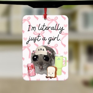 May include: A white car air freshener with a pink background and pink bows. The text "I'm literally just a girl." is printed on the air freshener. A cartoon animal with a hat is in the centre of the air freshener.