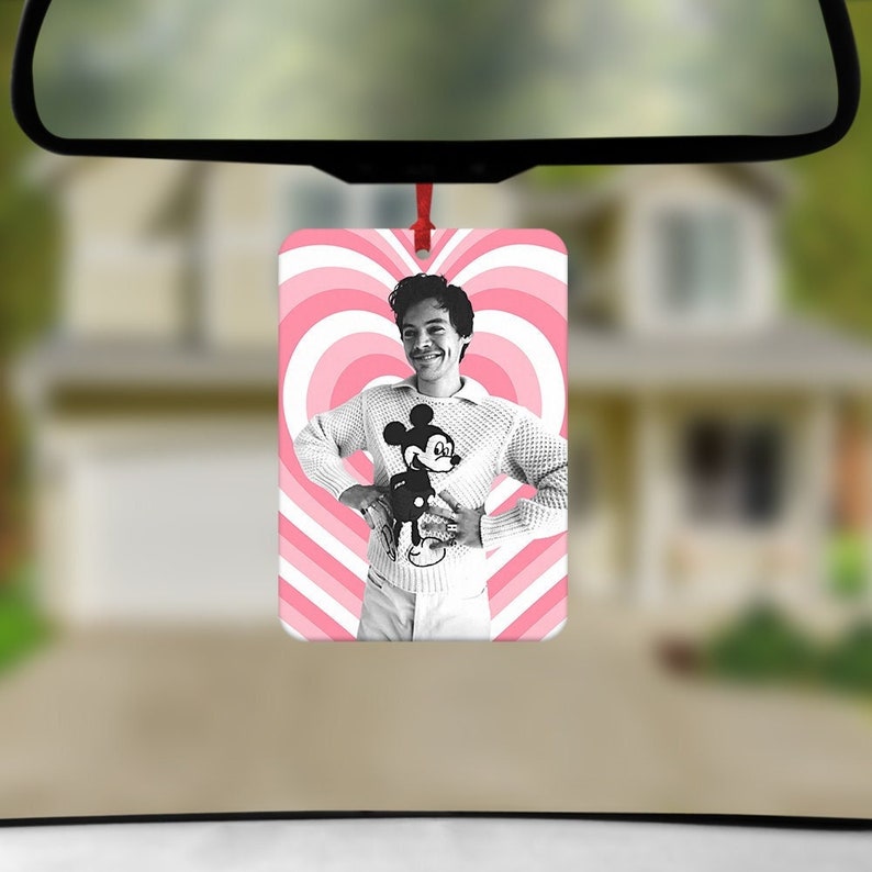 Harry Car Air Freshener, Fun Car Air Freshener, Harry's House gift, Car Accessories , Music fan gifts, TPWK, New Driver Gift, Novelty Gifts image 1