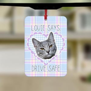 May include: A rectangular hanging air freshener featuring a light blue, pink, and white plaid background. A central lavender heart frame surrounds a grey cat portrait. The text reads, "LOUIE SAYS, DRIVE SAFE" in a dark grey sans-serif font.