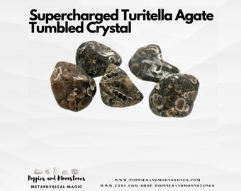 Cristal roulé en agate de turitella suralimentée