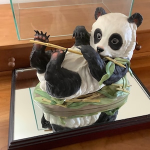 Giant Panda Cub in Glass Display Case
