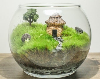 Fairy Garden Terrarium - Live Moss Hedgehog Terrarium - Live House Plants - Glass Terrarium - Zen Garden