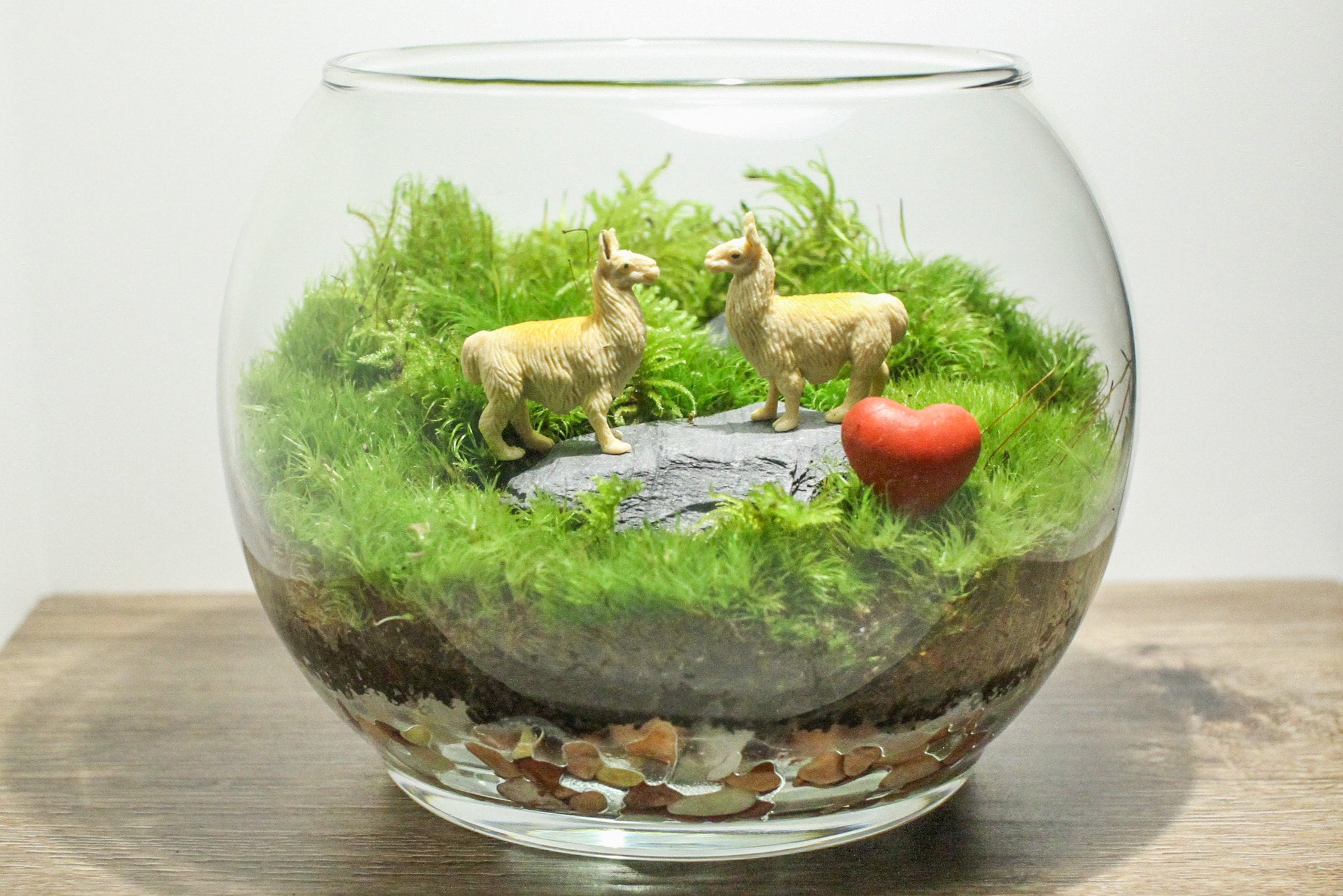 Animal Pair Terrarium Unique Animal Gift Live House Plants Etsy