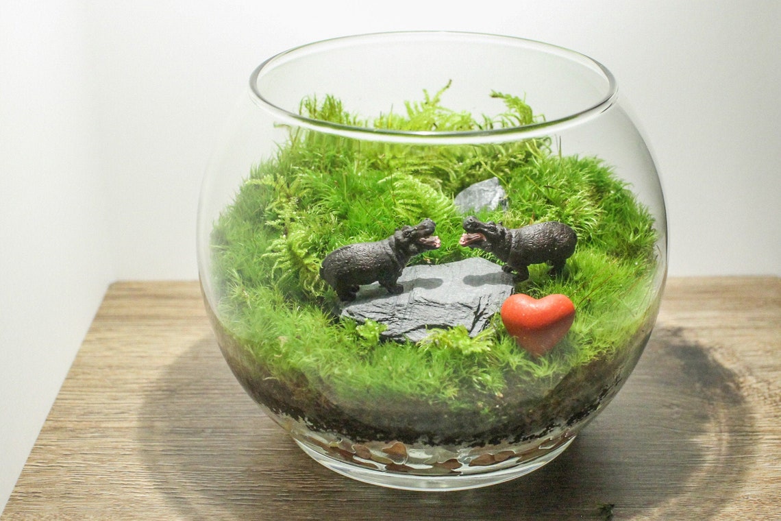 Animal Pair Terrarium Unique Animal Gift Live House Plants Etsy