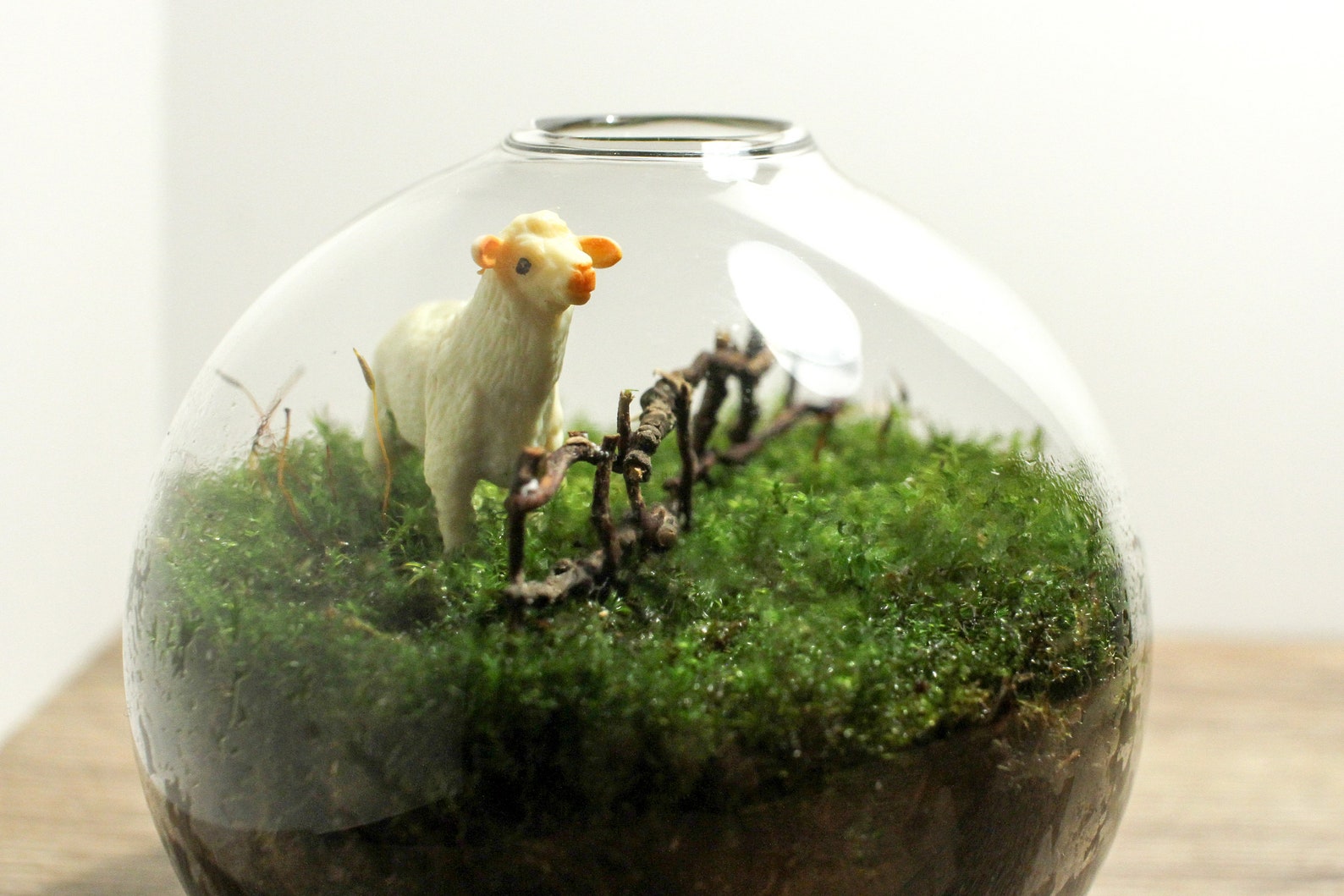 Live Moss Mini Terrarium Sheep Behind Fence Cottagecore Etsy