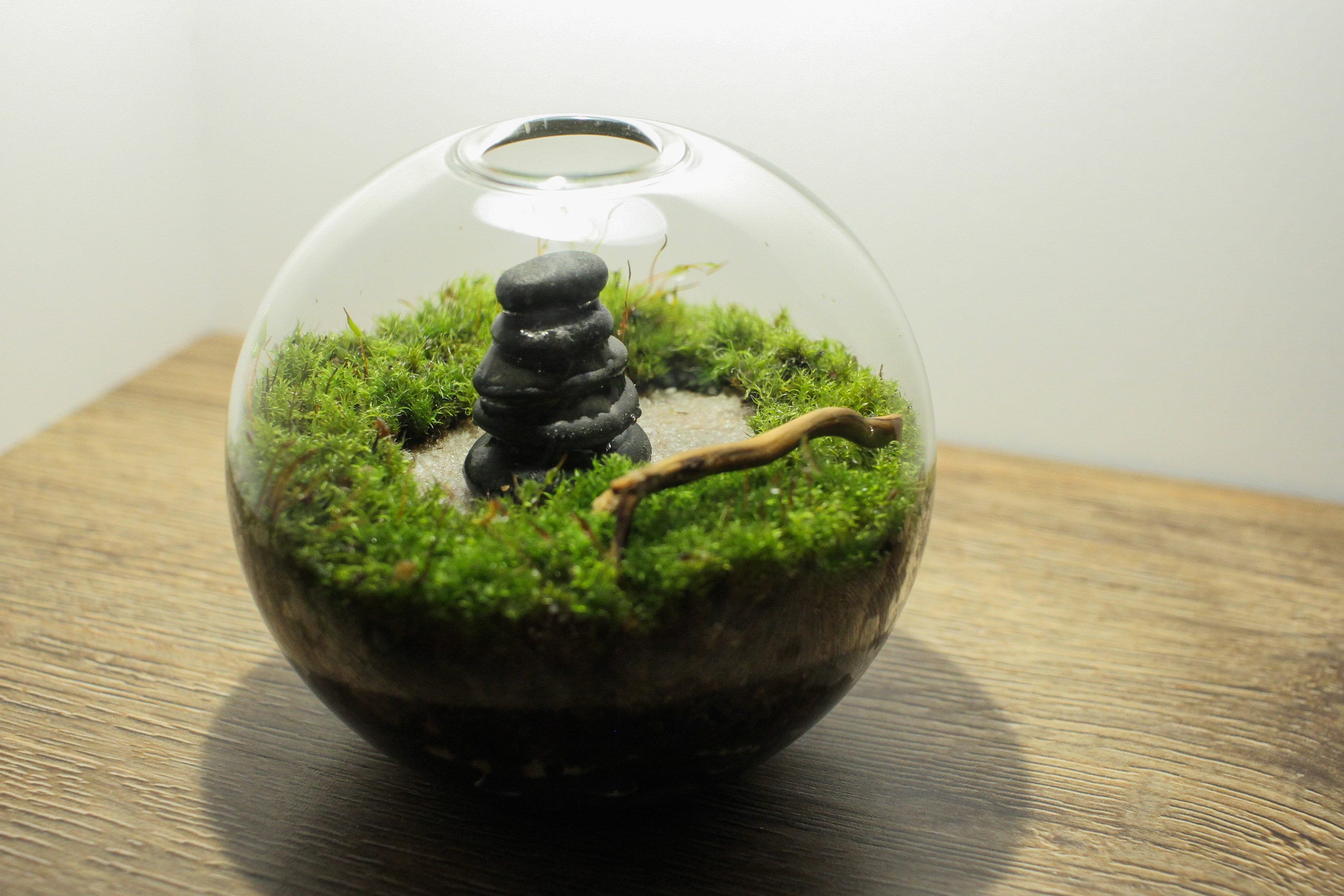 Craft Supplies & Tools Gardening & Plants Desktop Zen Garden Minimalist