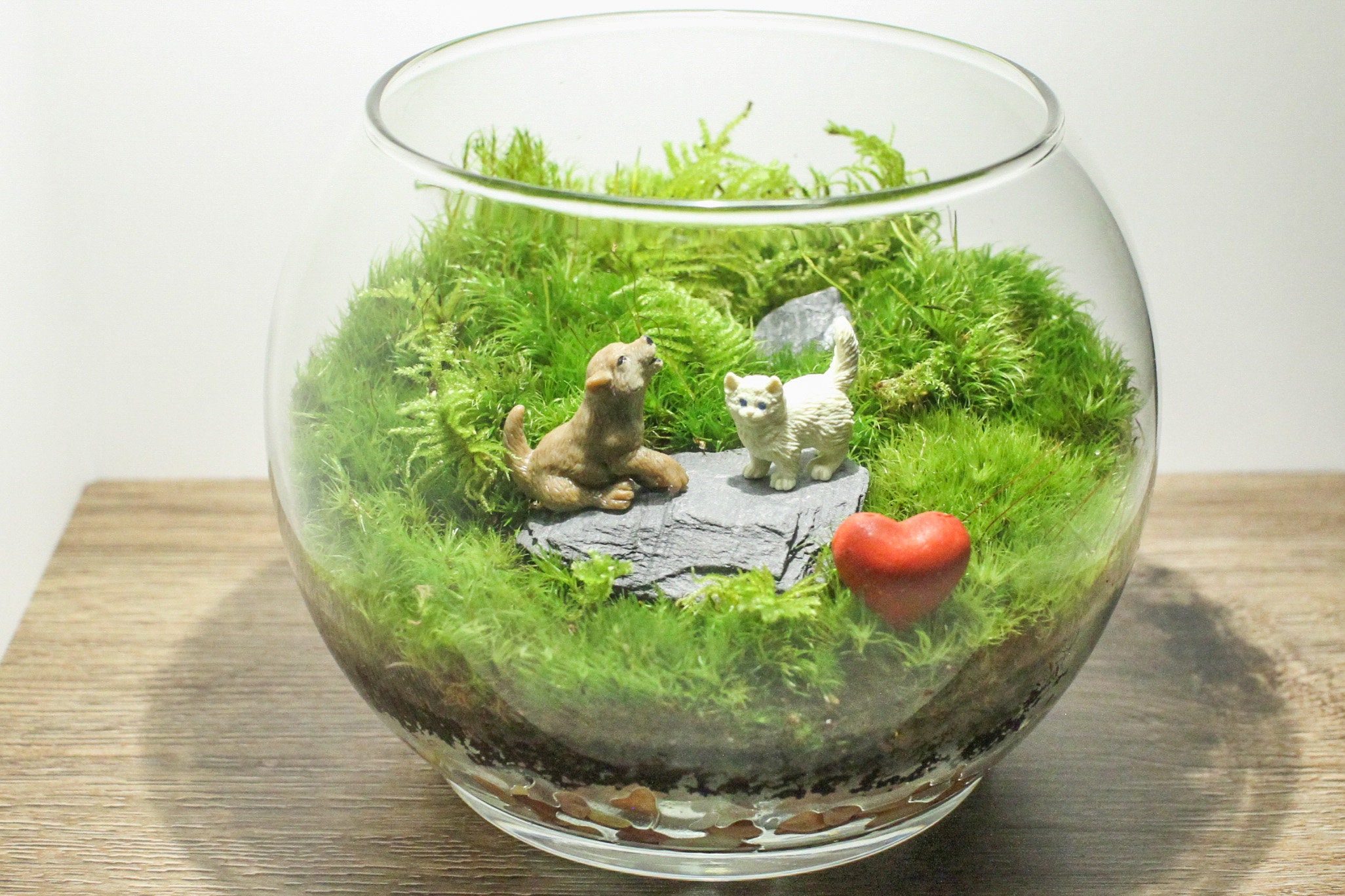 Animal Pair Terrarium Unique Animal Gift Live House Plants Etsy