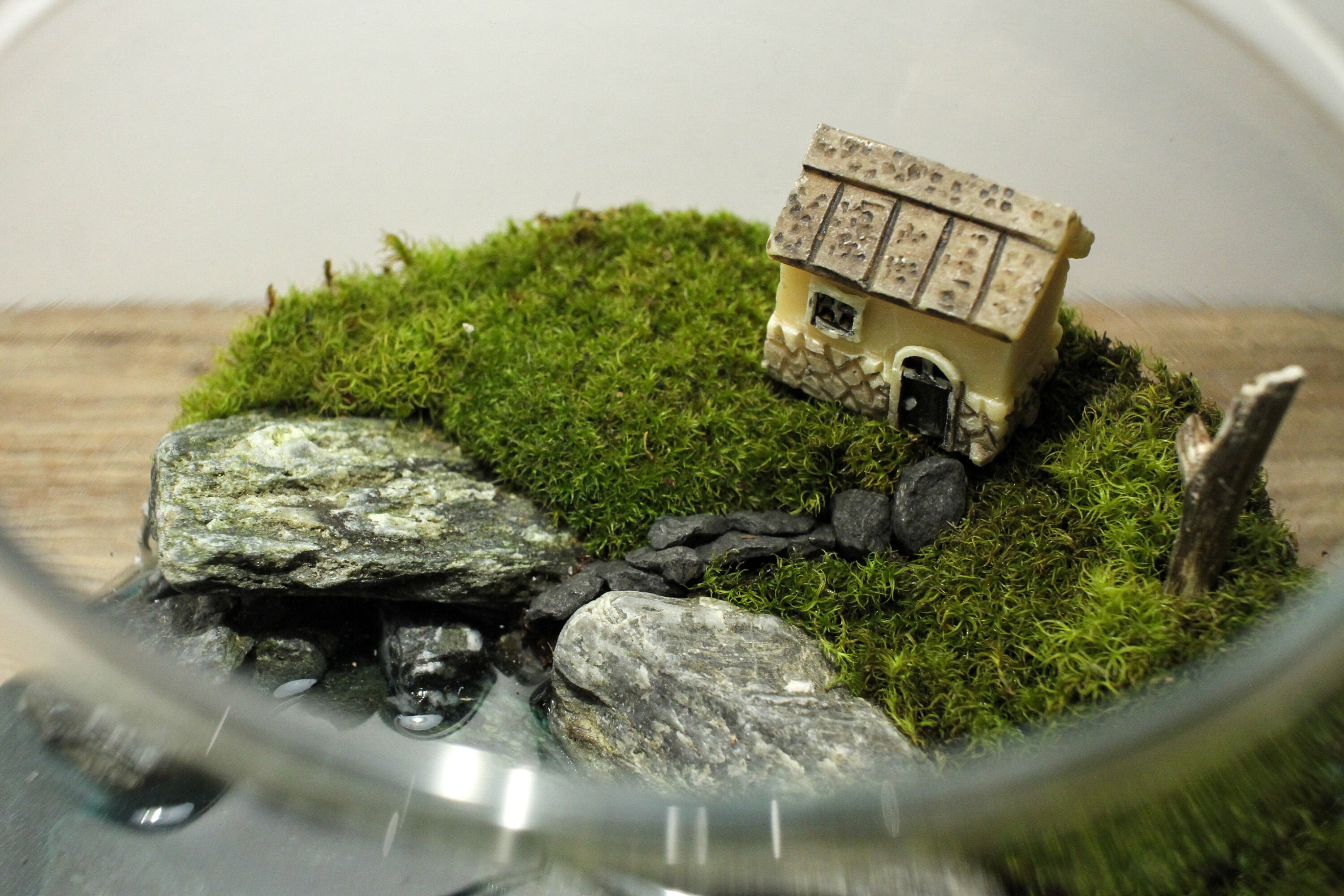 Live Moss Terrarium Cabin by the Lake Glass Terrarium Etsy