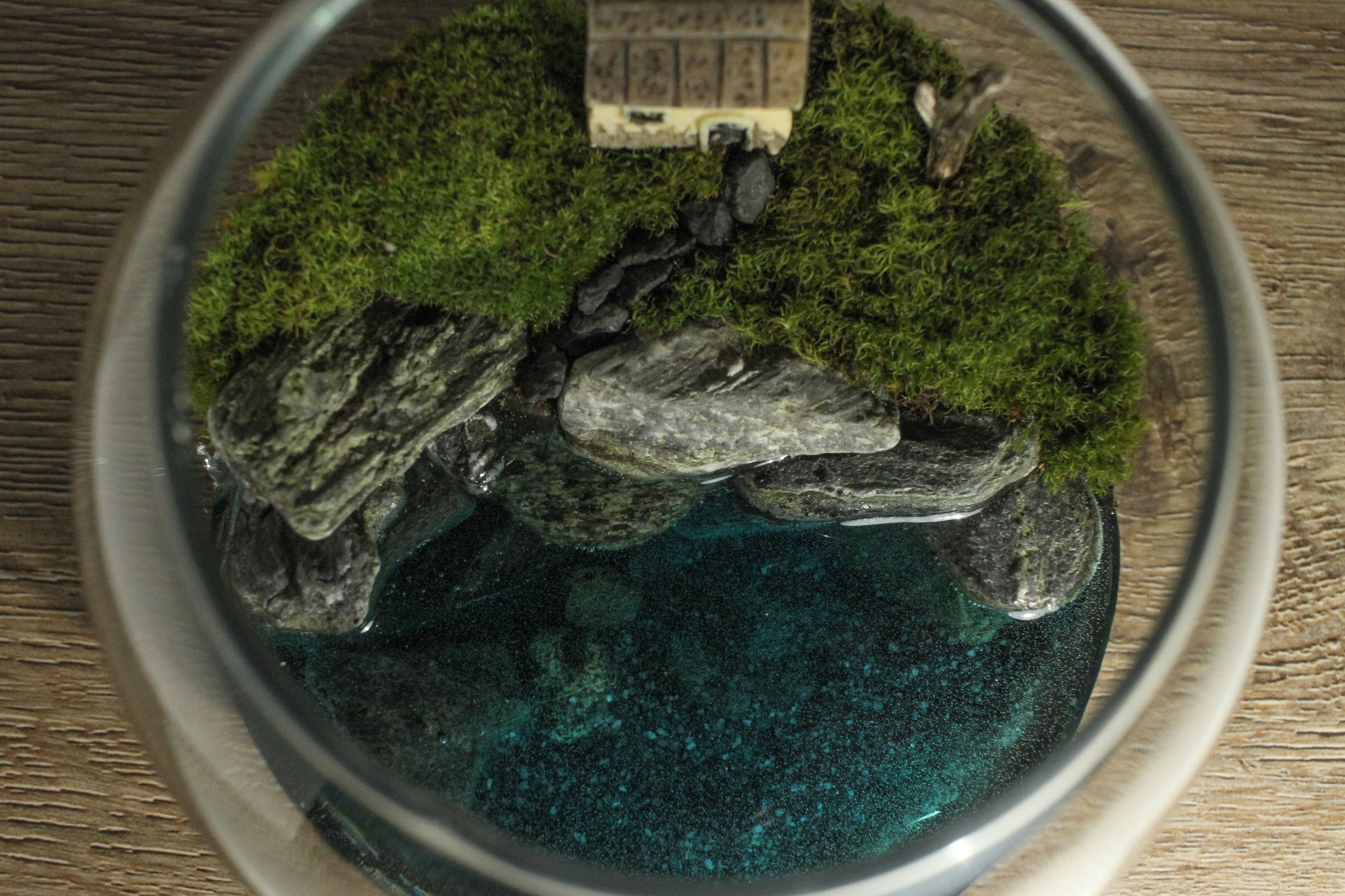 Live Moss Terrarium Cabin by the Lake Glass Terrarium Etsy