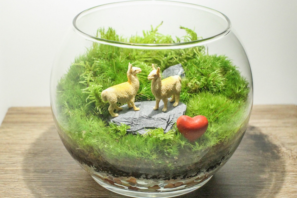 Animal Pair Terrarium Unique Animal Gift Live House Plants Etsy