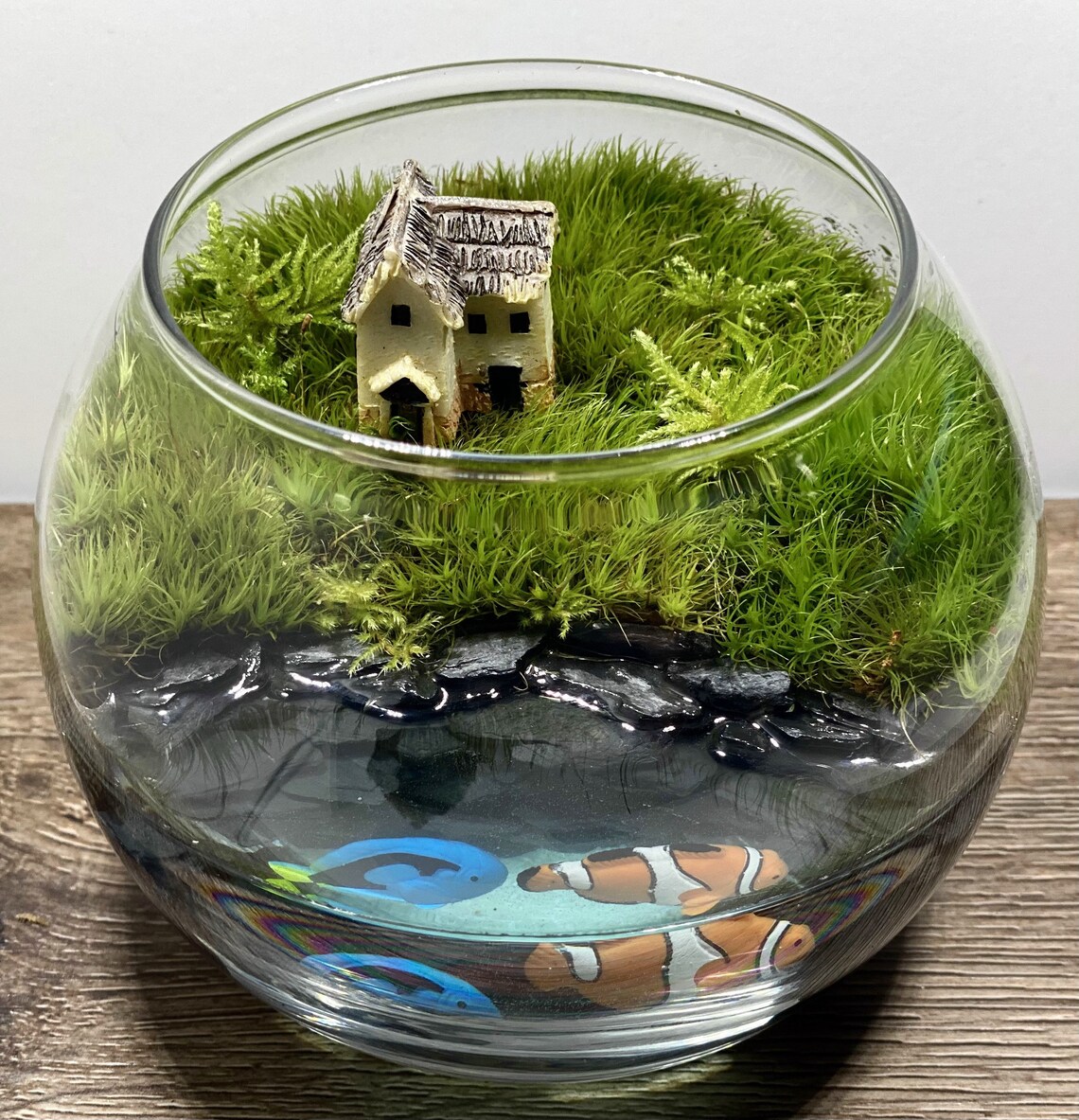 Live Moss Terrarium Tropical Fish Glass Terrarium Water Etsy