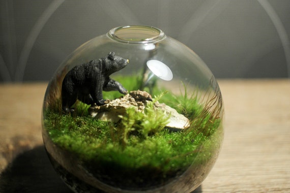 A glass terrarium, a little moss, and a mandrake. This piece makes
