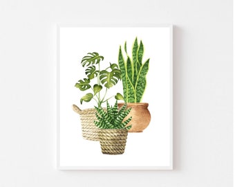 May include: Watercolor painting of three potted plants. A green monstera plant in a woven basket, a green snake plant in a terracotta pot, and a green succulent in a woven basket.