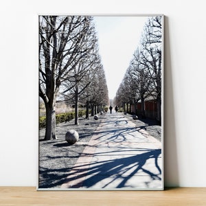May include: A long, straight path lined with bare trees in a park. The path is made of concrete and has a light gray color. The trees are bare and have a dark gray color. The path is surrounded by green grass and bushes. Two people are walking down the path in the distance.