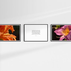 Consider the Lilies Montage (Digital Download)