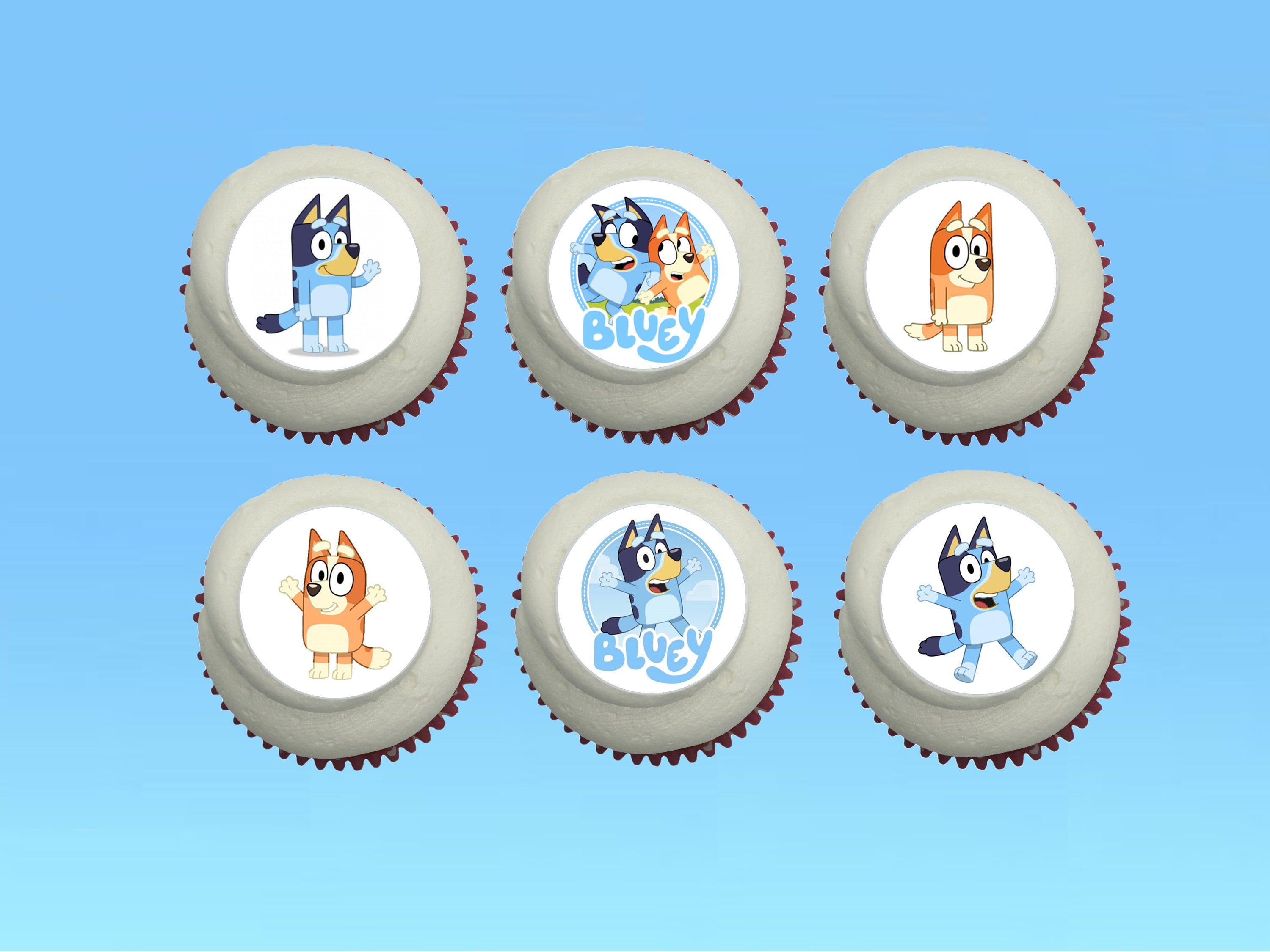 Sheet of 48 Bluey Precut Mini Edible Icing Cupcake Toppers Decorations