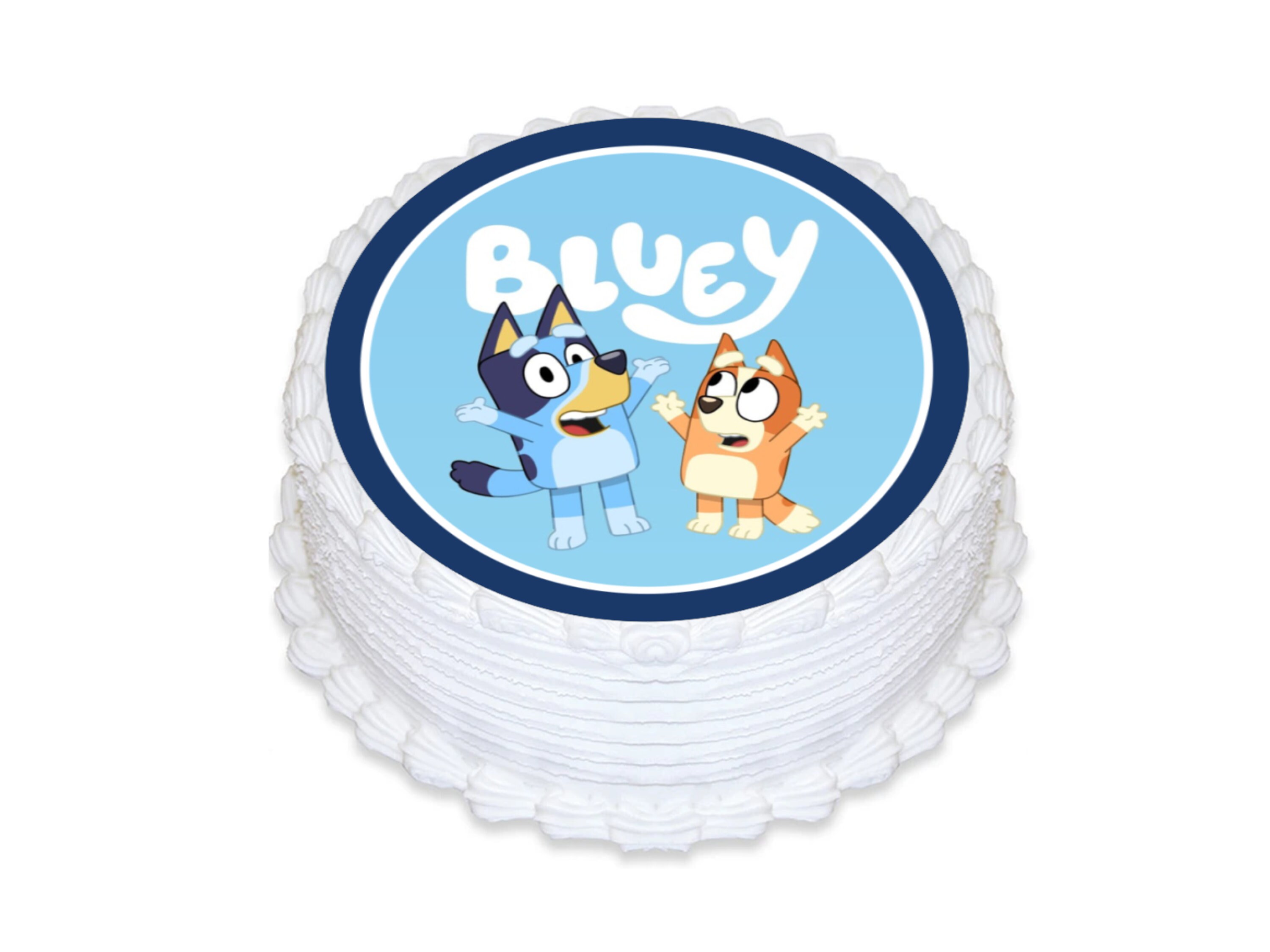 Bluey Large Cake Edible Image Topper Coordinating Etsy UK