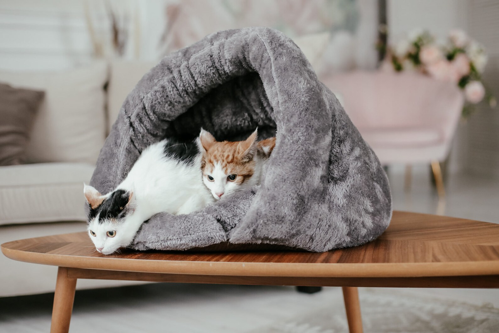 Katze Haus Katze Bett Katze Höhle Hund Haus Hund Hund Haustier Etsy
