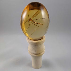 May include: A clear amber egg-shaped paperweight with a preserved insect inside. The paperweight is on a wooden base.