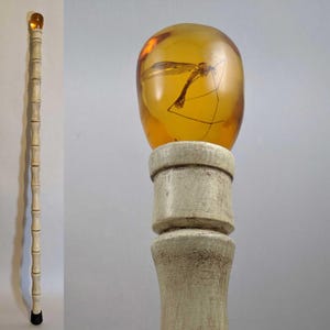 May include: A walking stick featuring a long, segmented, off-white shaft with a weathered texture and a black rubber tip. The handle is topped with a large, smooth, translucent amber-colored resin orb containing a visible insect specimen inside.
