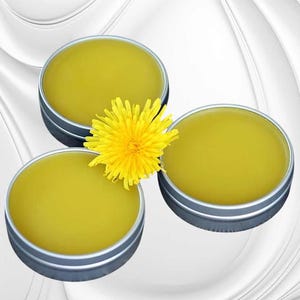 Fresh Pure Organic Dandelion Salve