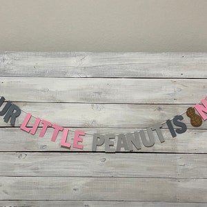 May include: A gray and pink banner with the text "Our Little Peanut Is One" and a peanut graphic. The banner is hanging on a white wooden wall.